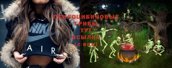 a pvp Алексин