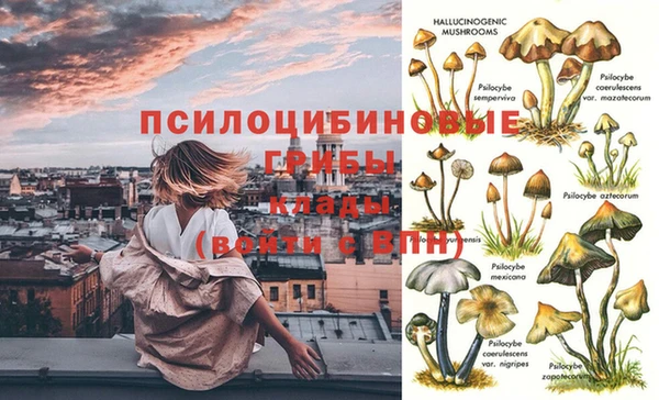 мяу мяу мука Алзамай